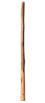 Wix Stix Didgeridoo (WS386)